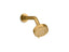 Awaken® G90 Three-Function Showerhead, 1.75 Gpm