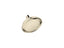 Artifacts® Single-Function Showerhead, 1.75 Gpm