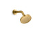 Elate® Single-Function Showerhead, 1.75 Gpm