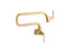 Graze® Wall-Mount Pot Filler