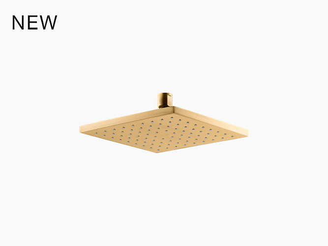 Showerhead | 8" CONTEMPORARY SQ RAIN SHWHD,1.75GPM | Brushed Modern Brass | GROF USA