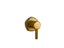 Occasion® Mastershower® Transfer Valve Trim With Lever Handle
