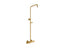 Occasion® Two-Way Exposed Thermostatic Valve And Shower Column Kit