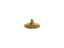 Occasion® Single-Function Showerhead, 2.5 Gpm