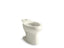 Wellworth® Elongated Toilet Bowl