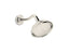 Artifacts® Single-Function Showerhead, 1.75 Gpm