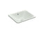 Iron Plains® 18-1/2" Rectangular Drop-In/Undermount Bathroom Sink