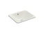 Iron Plains® 18-1/2" Rectangular Drop-In/Undermount Bathroom Sink
