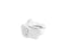 Kingston™ Ultra Wall-Mount Rear Spud Flushometer Bowl