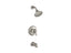 Forté® Rite-Temp® Bath And Shower Trim Kit, 1.75 Gpm, Nptspout