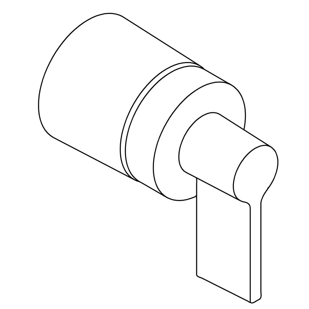 Handle Assembly, Lever