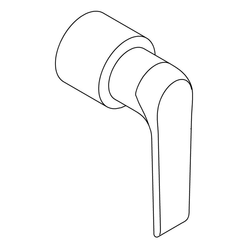 Handle Assembly, Lever