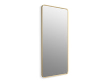 Essential 28" X 60" Rectangular Framed Mirror