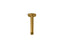 Statement® 6