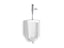 Bardon™ High-Efficiency Urinal With Mach® Tripoint® Touchless Dc 0.5 Gpf Flushometer