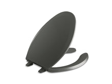 Lustra™ Elongated Toilet Seat