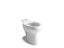 Wellworth® Elongated Toilet Bowl