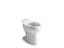 Wellworth® toilet bowl with bedpan lugs and antimicrobial finish, less seat