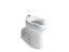 Anglesey™ Floor-Mount Top Spud Flushometer Bowl With Bedpan Lugs