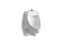 Dexter™ Siphon-Jet Wall-Mount 0.5 Or 1.0 Gpf Urinal With Top Spud, Antimicrobial