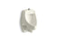 Dexter™ Siphon-Jet Wall-Mount 0.5 Or 1.0 Gpf Urinal With Top Spud
