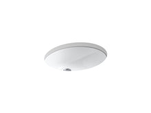 Caxton® 19-1/4" Oval Undermount Bathroom Sink