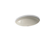 Canvas® 19-1/2" Round Undermount Bathroom Sink