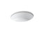 Verticyl® 19-1/4" Oval Undermount Bathroom Sink