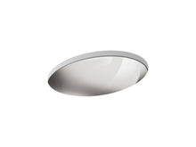 Rhythm® 23-1/4" Oval Undermount Bathroom Sink, No Overflow