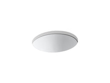 Caxton® 19-1/4" Oval Undermount Bathroom Sink, No Overflow