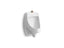 Dexter™ Washout Wall-Mount 0.125 Gpf Urinal With Top Spud