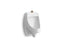 Dexter™ Washout Wall-Mount 0.125 Gpf Urinal With Top Spud, Antimicrobial