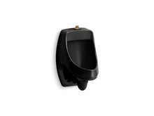 Dexter™ Washout Wall-Mount 0.125 Gpf Urinal With Top Spud