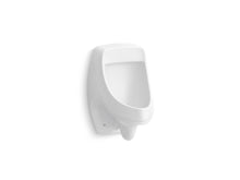 Dexter™ Washout Wall-Mount 0.125 Gpf Urinal With Rear Spud