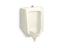 Stanwell™ Blow-Out 0.5 To 1.0 Gpf Urinal With Top Spud