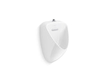 20713-ET-0 - White | KOHLER | GROF USA